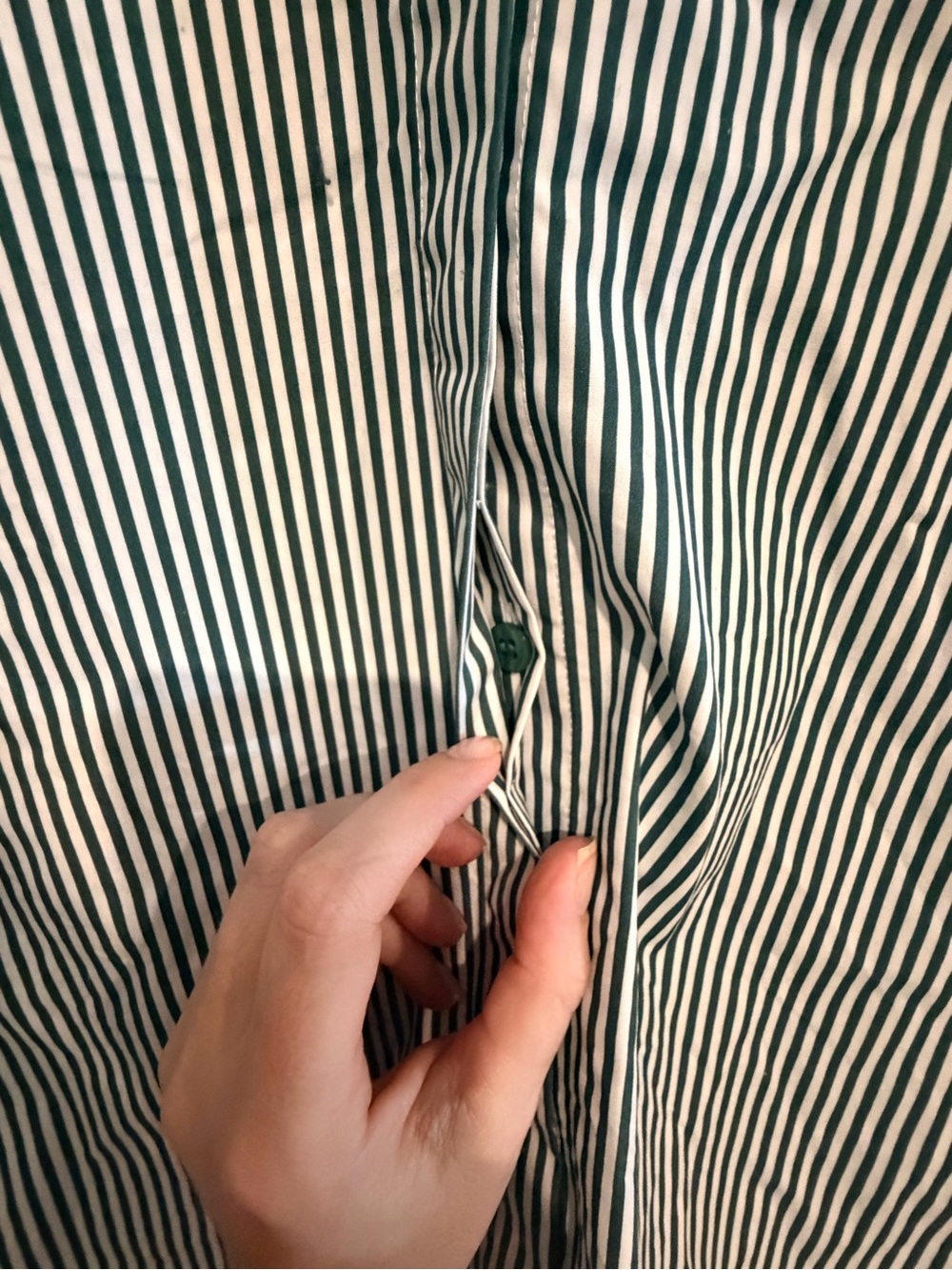 Favorite Daughter Striped classic poplin Shirt in Green and White - Picture 4 of 10